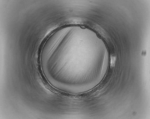 X0000093560627200711051038