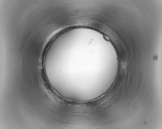 X0000093560628200711051038