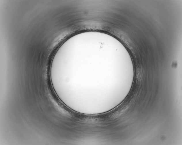 X0000093560629200711051038