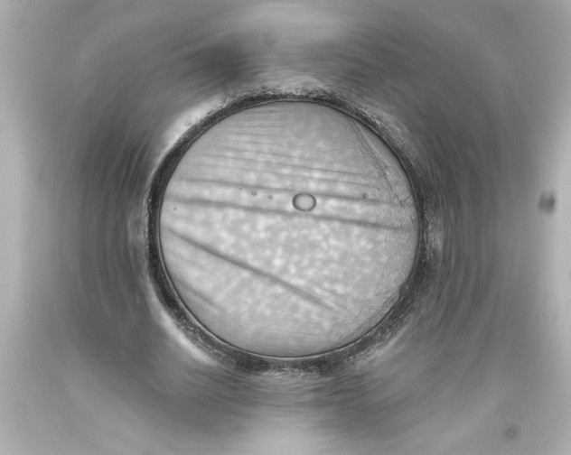 X0000093560630200711051038