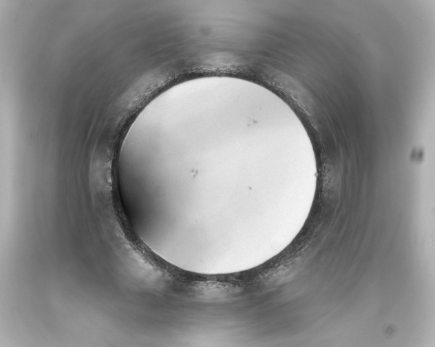 X0000093560633200711051038