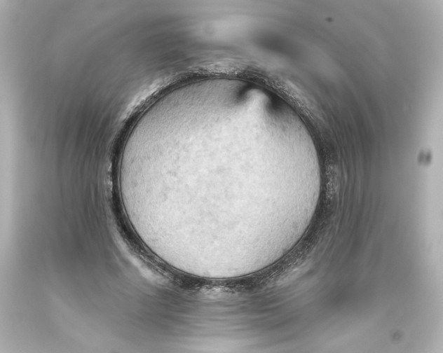 X0000093560634200711051038