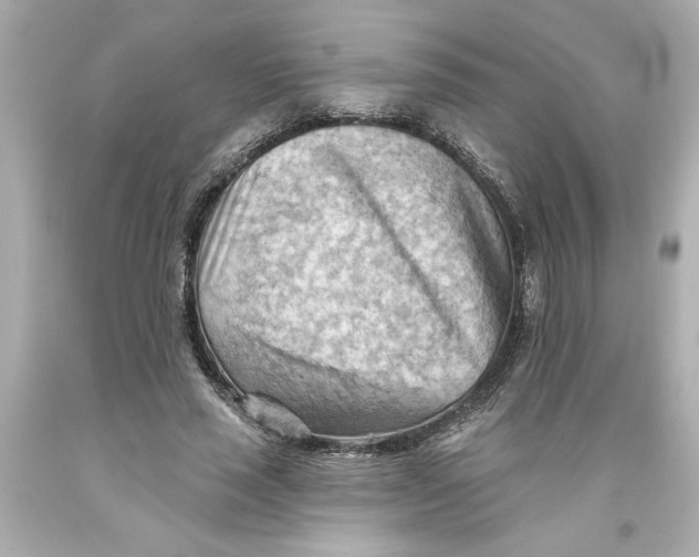 X0000093560637200711051038