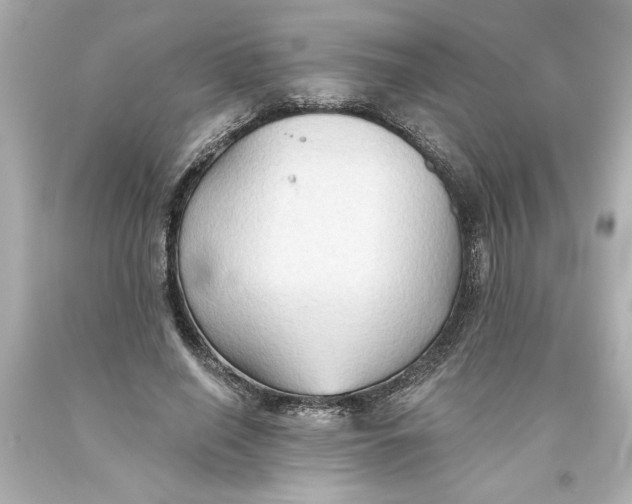 X0000093560638200711051038