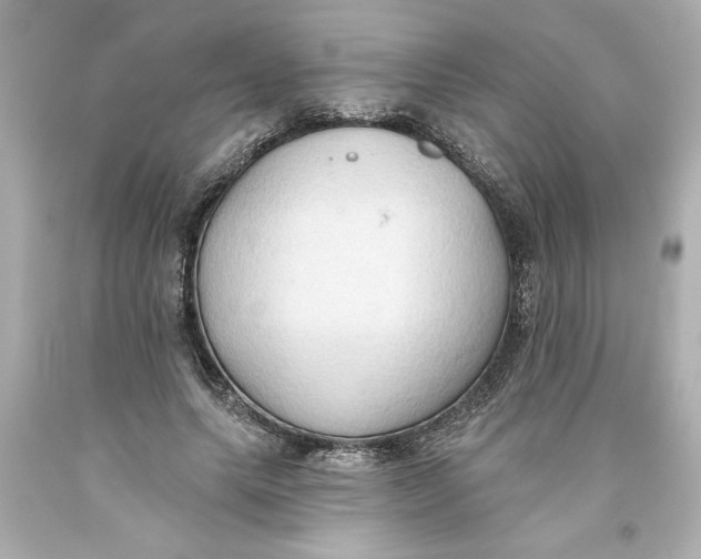 X0000093560639200711051038