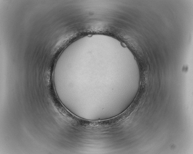 X0000093560640200711051038