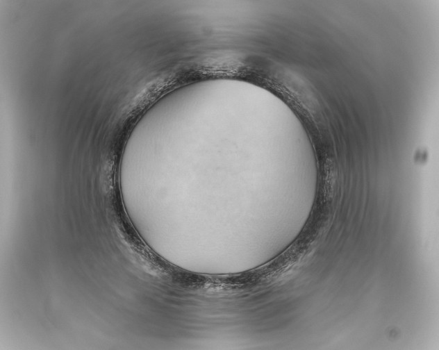 X0000093560641200711051038