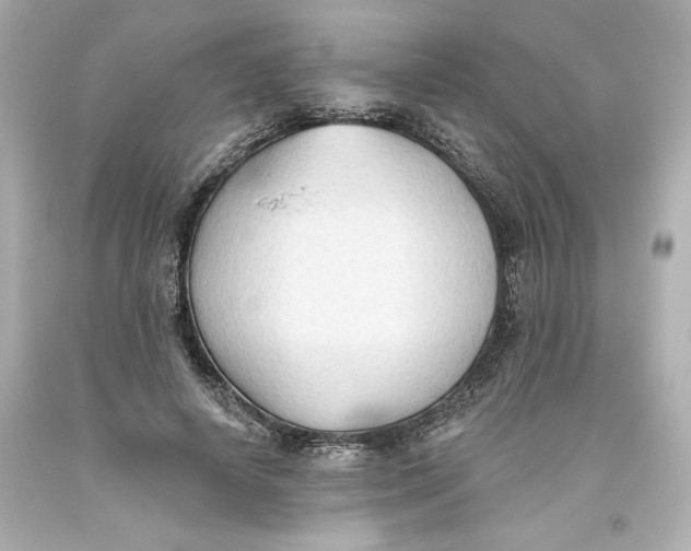 X0000093560642200711051038