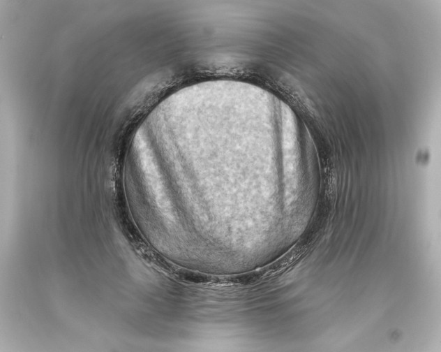 X0000093560643200711051038