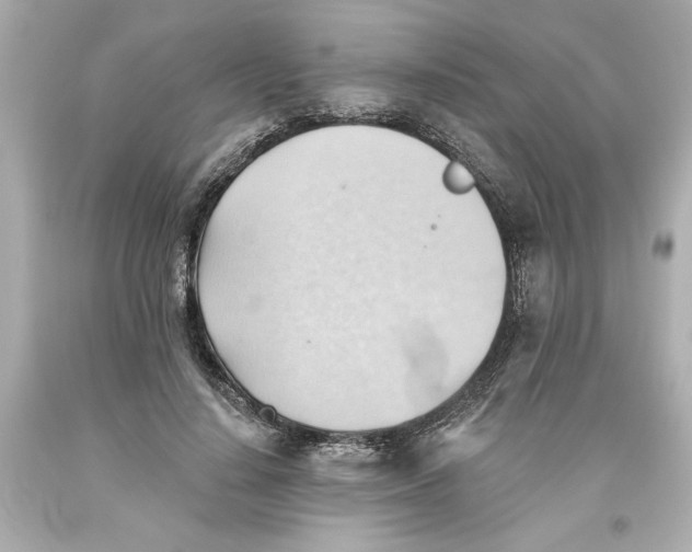 X0000093560644200711051038