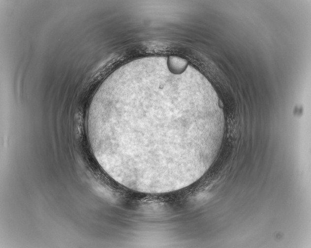 X0000093560648200711051038