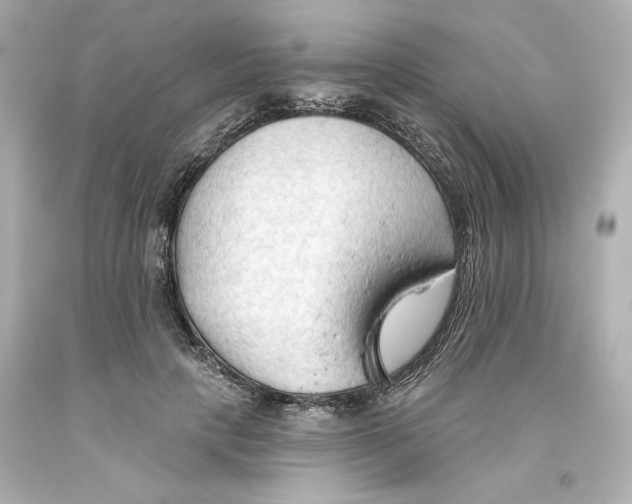 X0000093560649200711051038