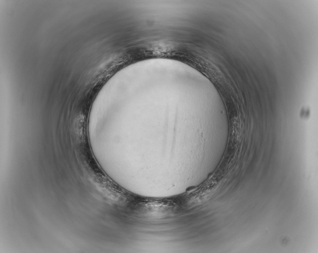 X0000093560650200711051038