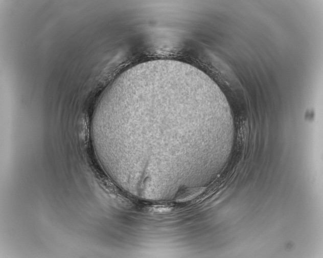 X0000093560651200711051038