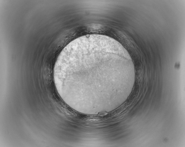 X0000093560653200711051038