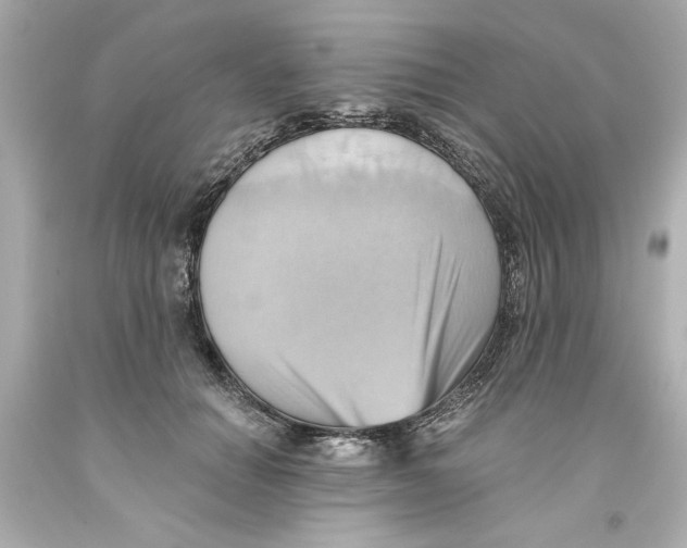 X0000093560654200711051038