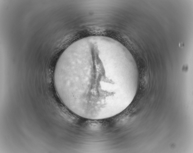 X0000093560658200711051038