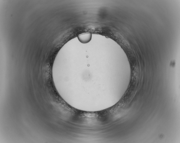 X0000093560659200711051038