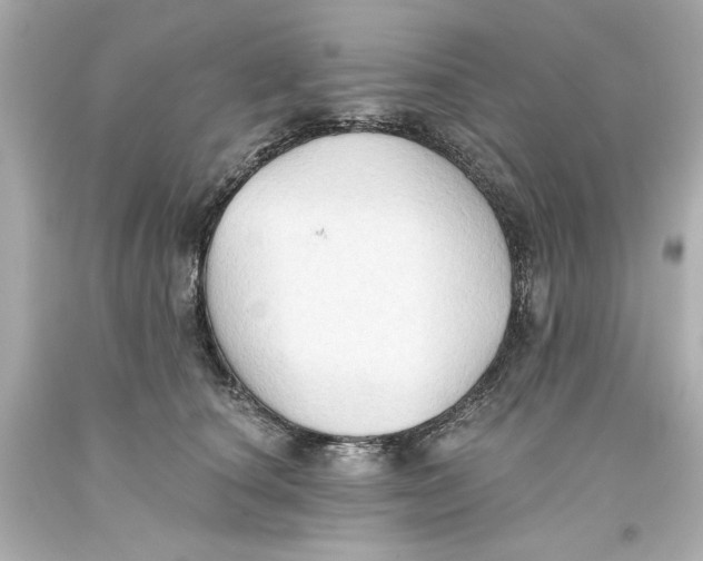 X0000093560660200711051038