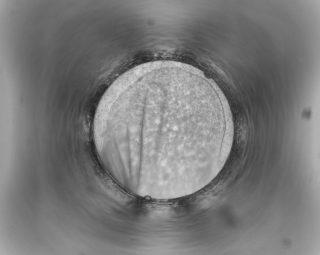 X0000093560661200711051038