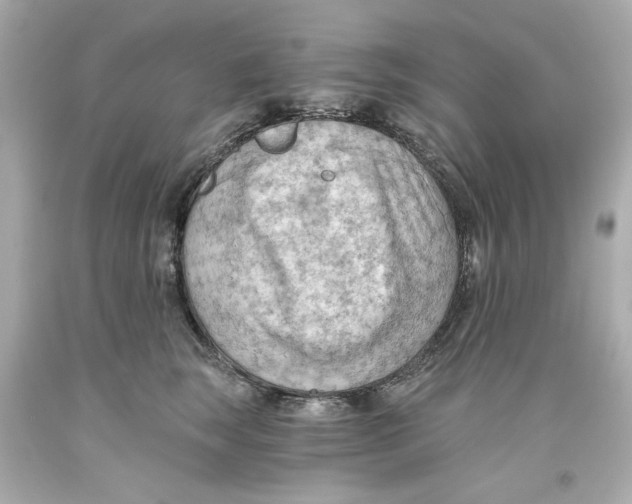 X0000093560663200711051038