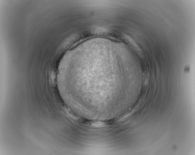 X0000093560669200711051038