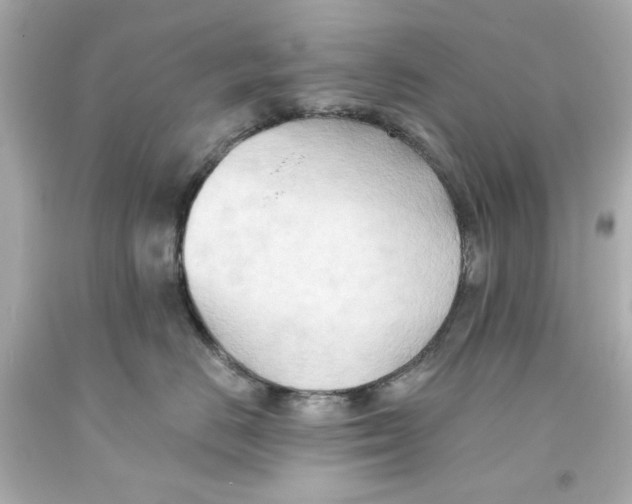 X0000093560670200711051038