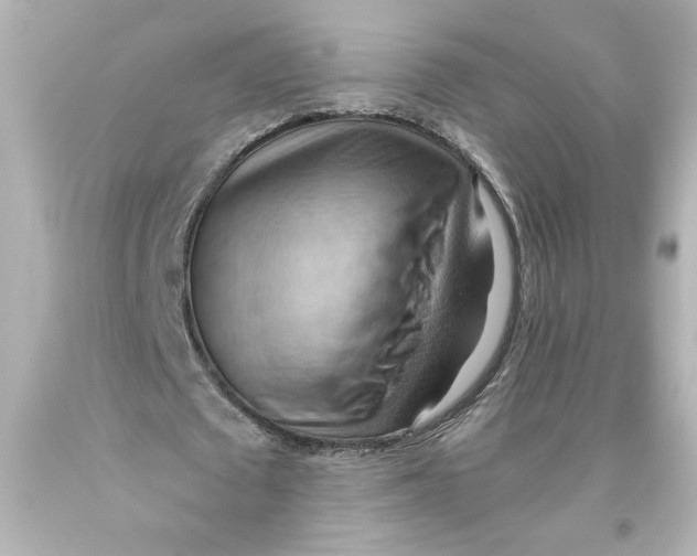 X0000093560673200711051038