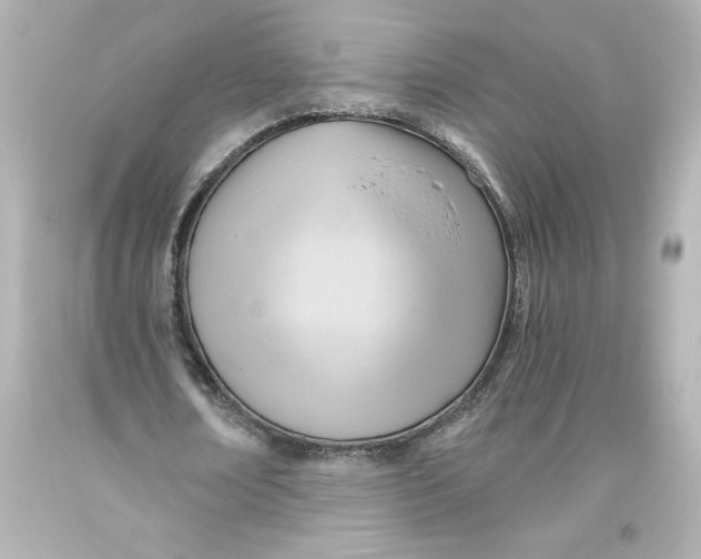 X0000093560674200711051038