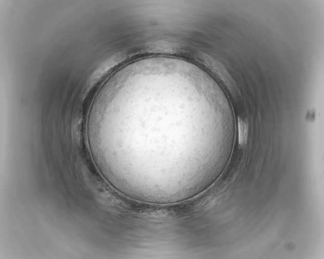 X0000093560675200711051038