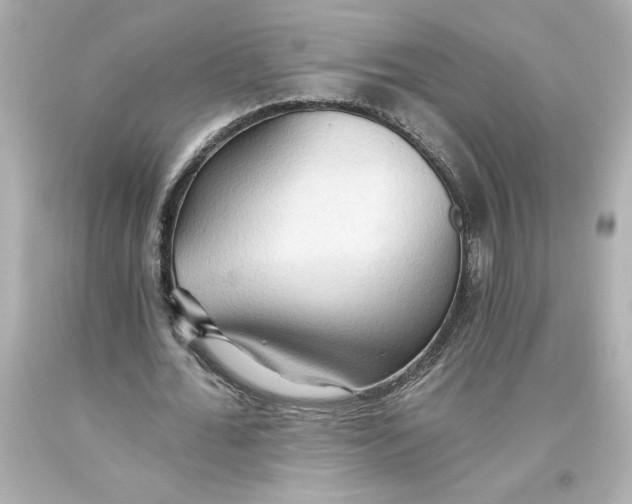 X0000093560676200711051038