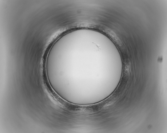 X0000093560678200711051038