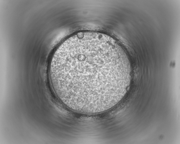 X0000093560679200711051038