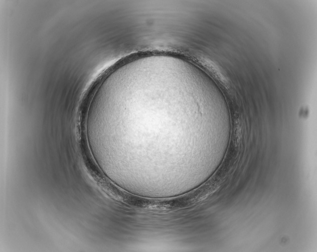 X0000093560680200711051038