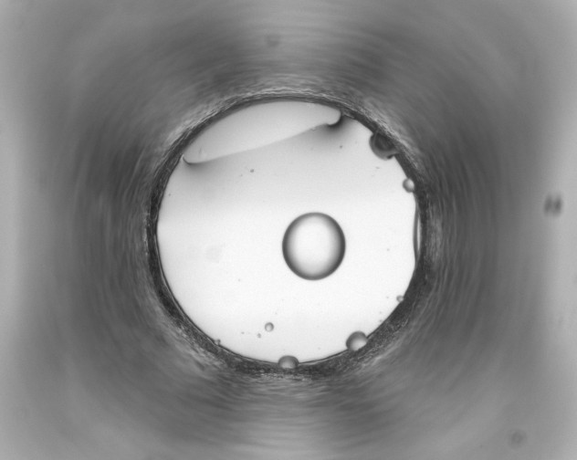 X0000093560681200711051038