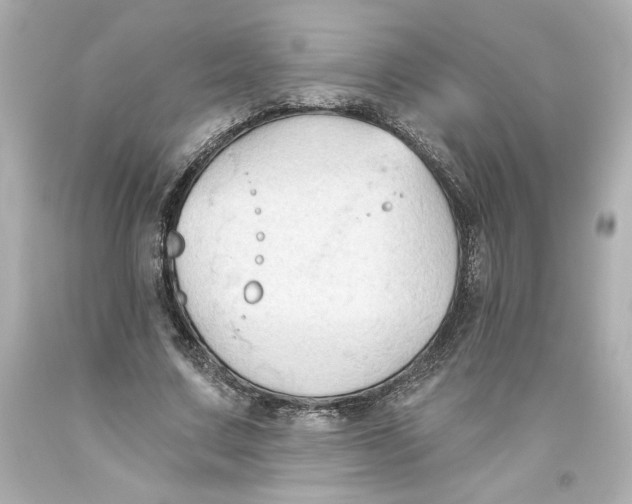 X0000093560683200711051038