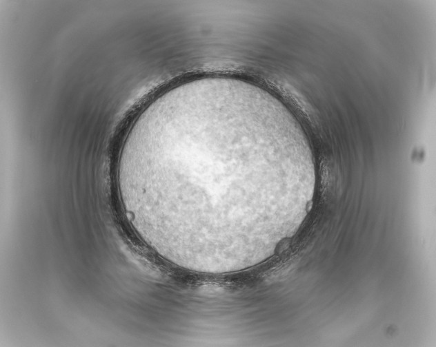 X0000093560684200711051038