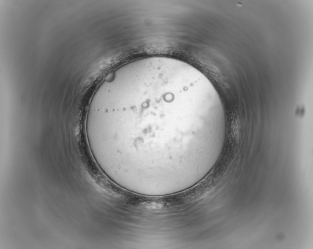 X0000093560687200711051038