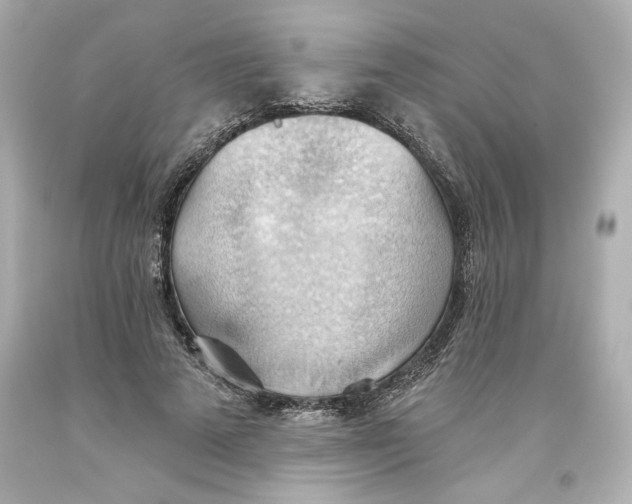 X0000093560689200711051038