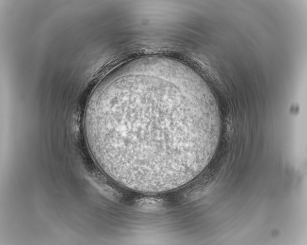 X0000093560691200711051037