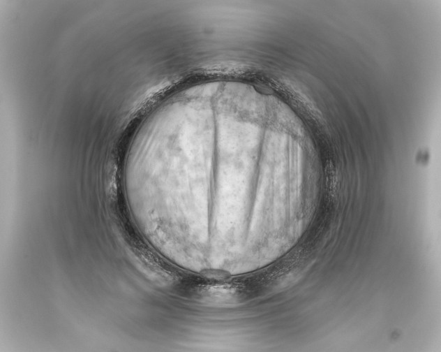 X0000093560692200711051037