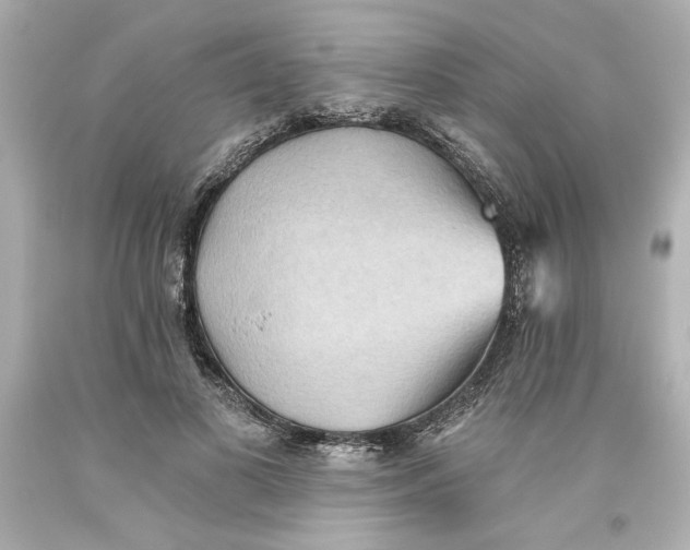 X0000093560693200711051037