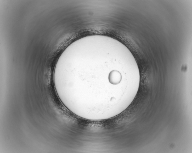 X0000093560694200711051037