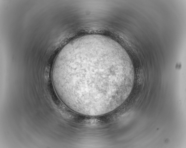 X0000093560695200711051037