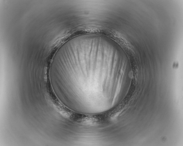 X0000093560696200711051037