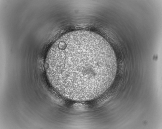 X0000093560699200711051037