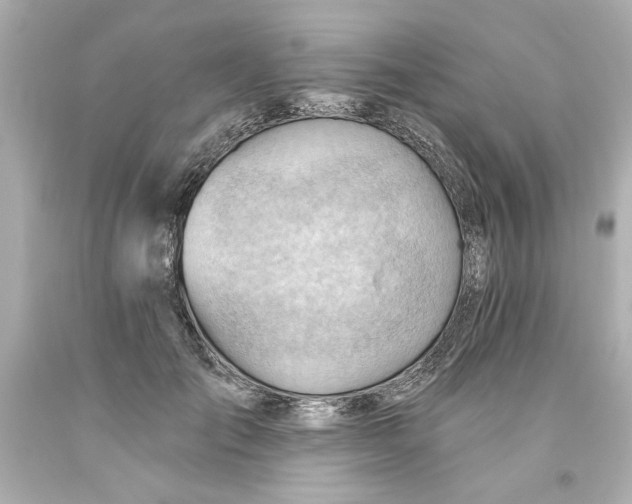 X0000093560701200711051037