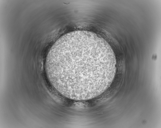 X0000093560703200711051037