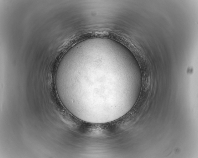 X0000093560704200711051037