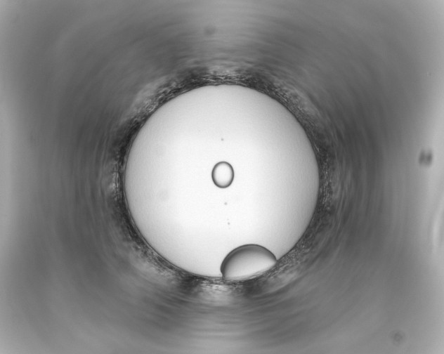 X0000093560706200711051037